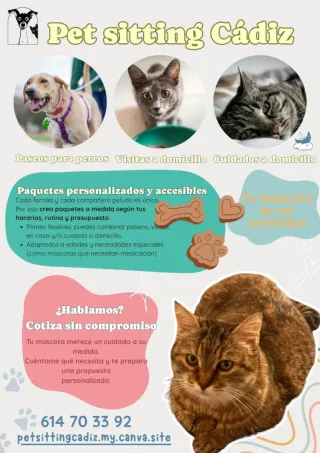 Paseos y Cuidados de mascotas