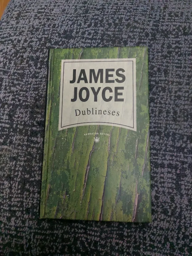 Dublineses
