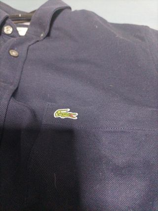 Camisa Lacoste azul