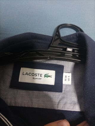 Camisa Lacoste azul