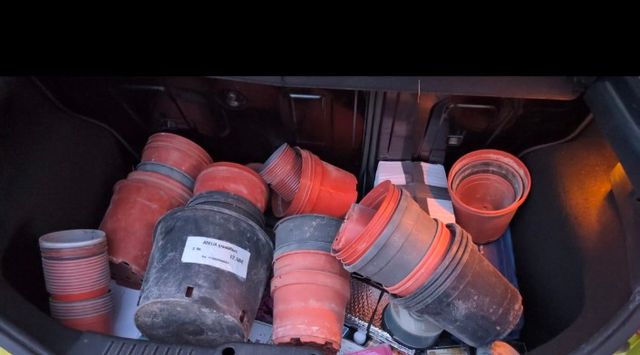 Tiestos macetas de plástico de varias medidas