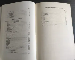 EL LIBRO DE PALENCIA (1993)