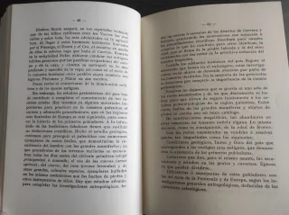 EL LIBRO DE PALENCIA (1993)