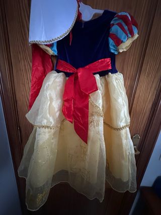 Disfraz Princesa Azul y Rojo
