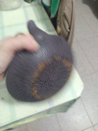 Tetera de hierro fundido asiática