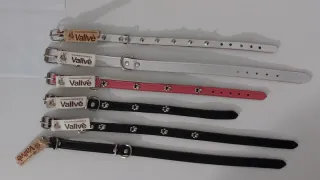 Mini collare per cani