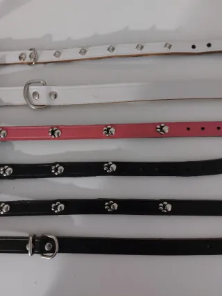 Mini collare per cani