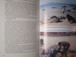 'Naúfragos, Supervivencia en una isla desierta'