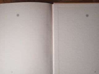 'Naúfragos, Supervivencia en una isla desierta'