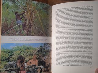 'Naúfragos, Supervivencia en una isla desierta'