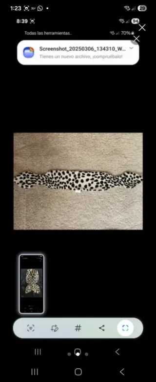 Cuello vintage dálmata terciopelo