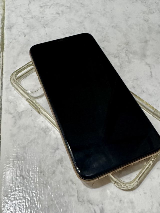 iPhone 11 Pro Max 256 GB in oro