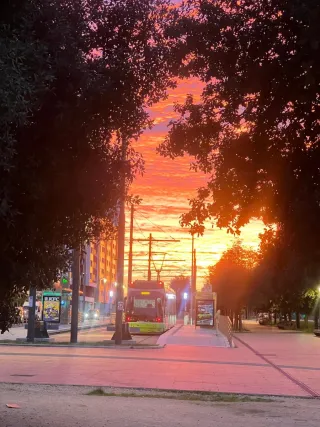 Dos piezas Vitoria con padrón