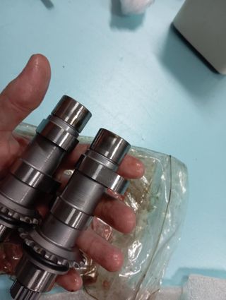 Placa Cams Screamin Eagle 2006-17 Harley Davidson