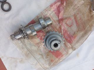 Placa Cams Screamin Eagle 2006-17 Harley Davidson