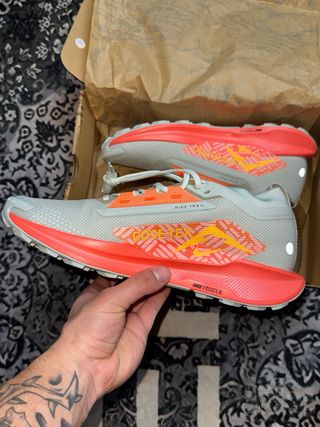 Nike Scarpe Pegasus Trail5 GORE-TEX Grigio Arancio