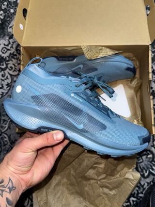 Scarpe Nike Pegasus Trail Gore-Tex Blu/Grigie