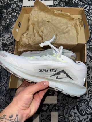 Scarpe Nike Pegasus Gore-Tex Trail 5 Running