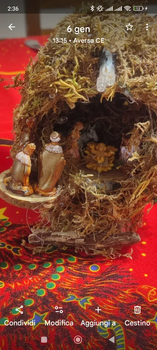 Presepe in noce di cocco