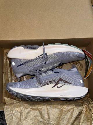 Scarpe Nike Pegasus Trail 5 Gore-Tex Grigio Bianco