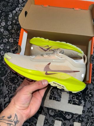 Scarpe Nike Pegasus Trail 5 GORE-TEX