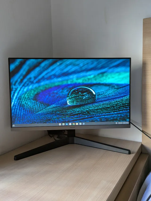 Monitor Samsung Essential S3 24"