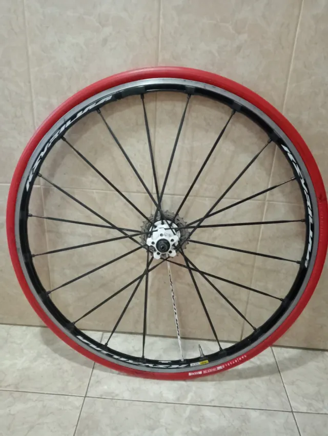 Rueda mavic KSYRIUM   SLS ,(VAN/RYSEL neumático)