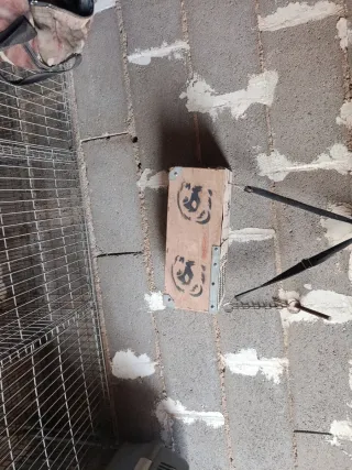 Cajón transporte hurones