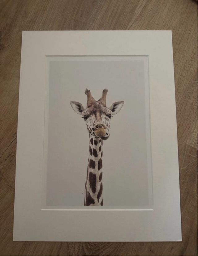 Lámina Jirafa Desenio 30x20