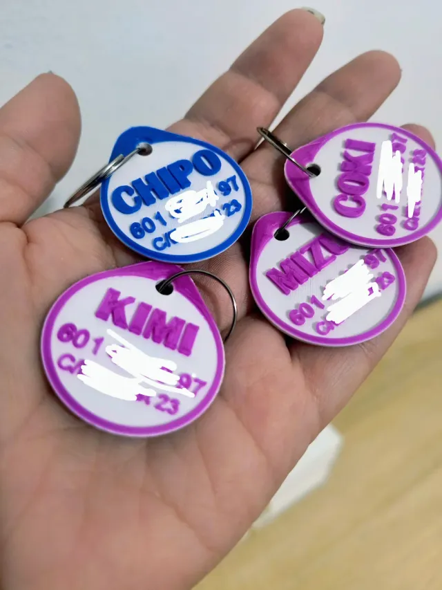 Chapas personalizadas para animais de estimação