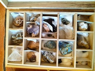 Colección 200 Minerales y Fósiles en sus vitrinas