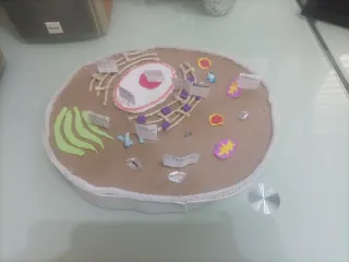 Maqueta Célula Animal