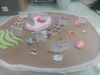 Maqueta Célula Animal