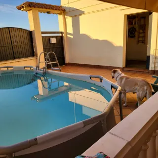 Chalet pareado de 195 m2. Para entrar a vivir.