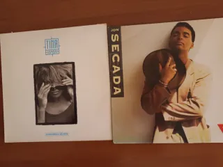 Lote Vinilos Jon Secada y Tina