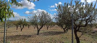 Chalet en venta en Almansa