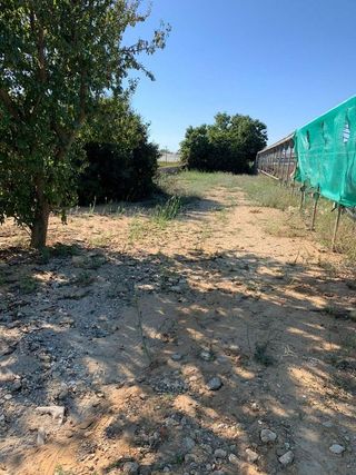 Terreno en venta en Centro - Norte en Chipiona