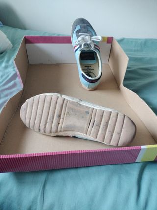 Zapatillas El Ganso Azul y Gris