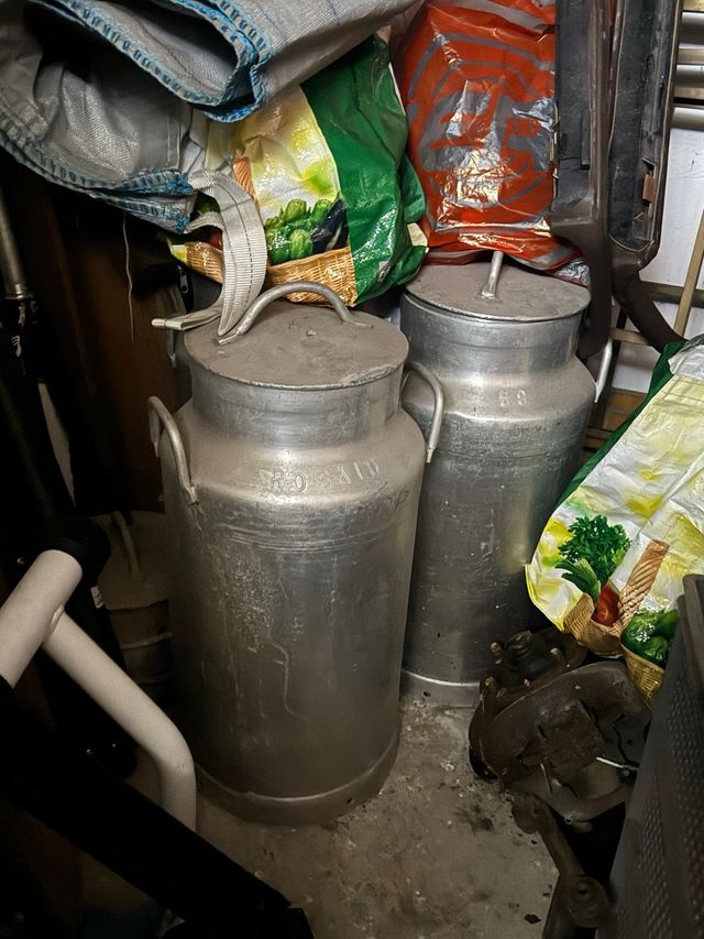 Perle di latte antiche