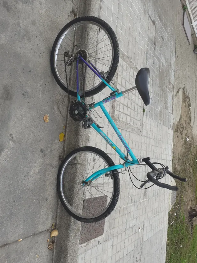 Bicicleta de montaña azul