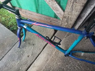 Telaio bici Dodsun con forcella e manubrio