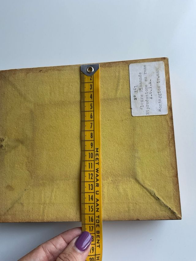 2 Quadretti Stampa Rame Dorati Vintage 