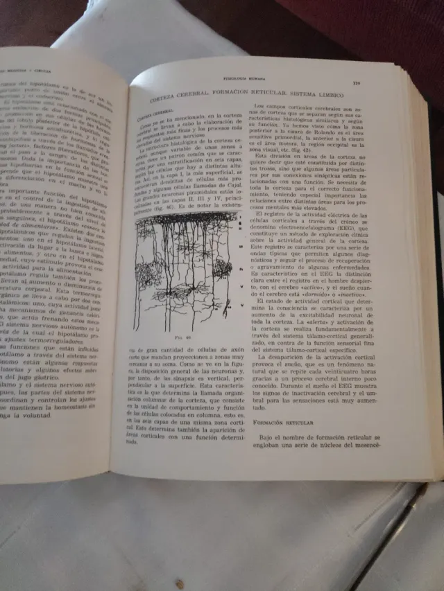 Tratado del ayudante en medicina y cirugía (Sp...