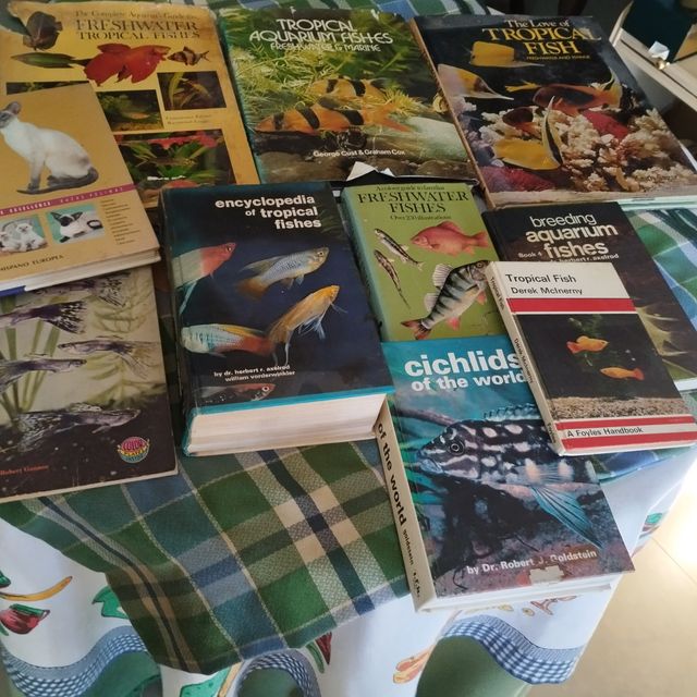 Libros de peces y gatos , en ingles