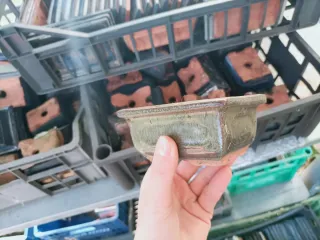 Vaso Bonsai Ceramica Terracotta