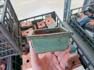 Vaso Bonsai Ceramica Terracotta