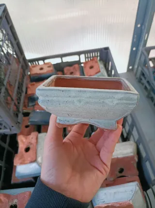 Vaso Bonsai Ceramica Terracotta