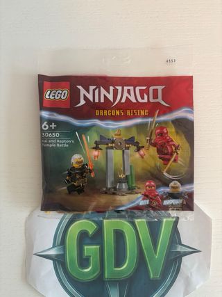 Lego Ninjago Kai and Rapton’s Temple Battle