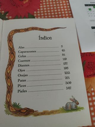 Cuentos para antes de dormir (Spanish Edition)