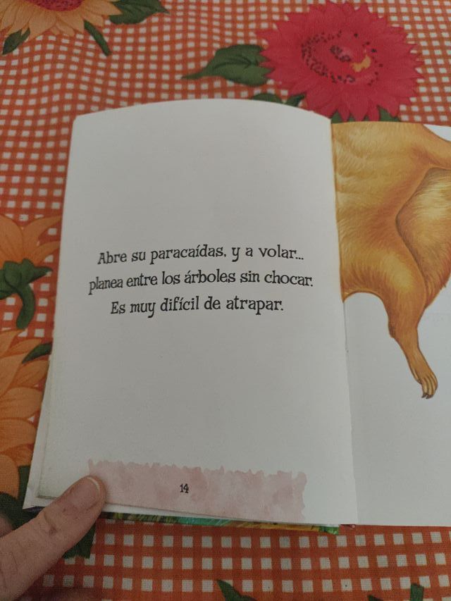 Cuentos para antes de dormir (Spanish Edition)